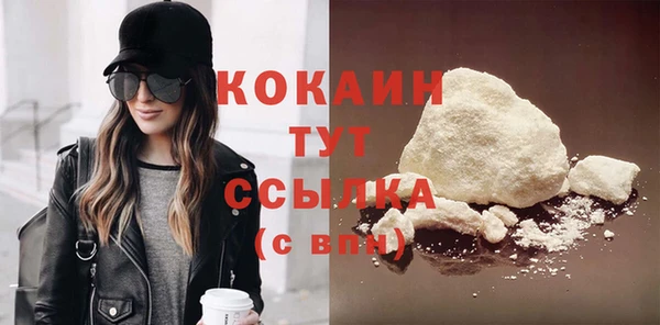 хмурый Абаза
