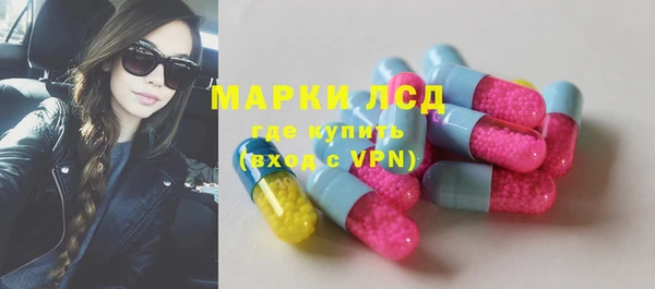 хмурый Абаза