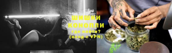 хмурый Абаза