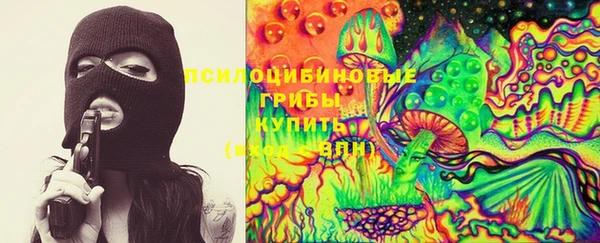 хмурый Абаза