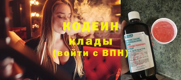 хмурый Абаза