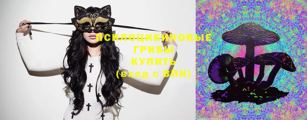 хмурый Абаза