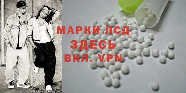 хмурый Абаза