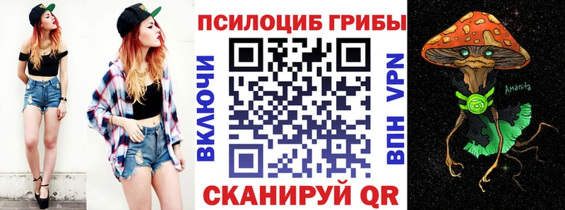 Псилоцибиновые грибы прущие грибы гидра ссылка Сычёвка